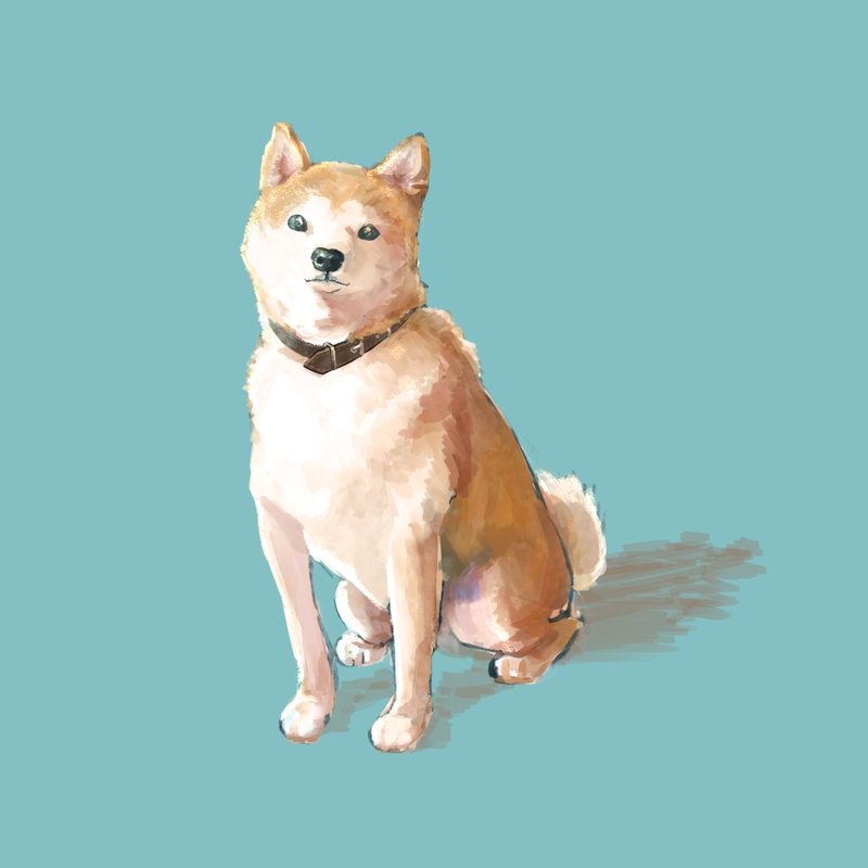 柴犬デジタルペイント